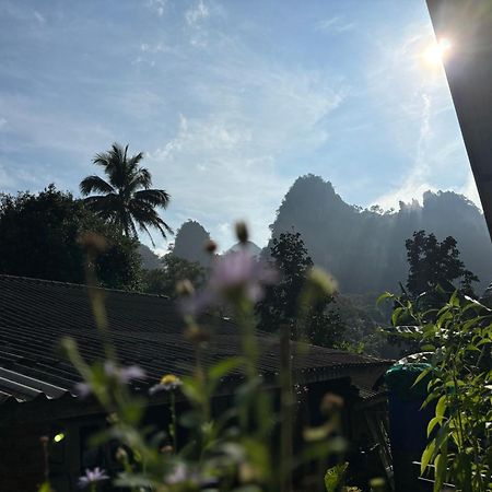 Khao Sok Backpacker Hostel Khao Sok National Park エクステリア 写真