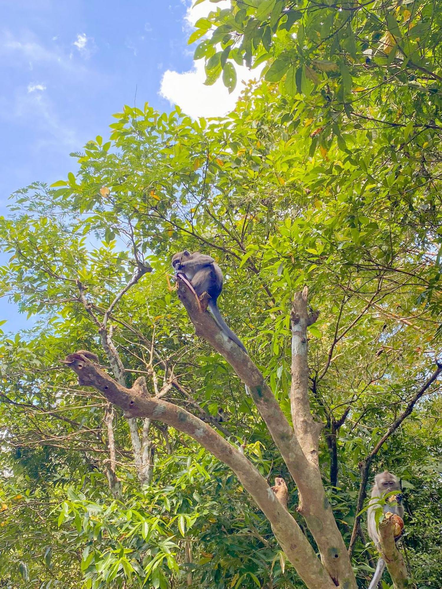 Khao Sok Backpacker Hostel Khao Sok National Park エクステリア 写真